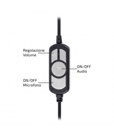 V7 Cuffie USB-C Deluxe con microfono con cancellazione del